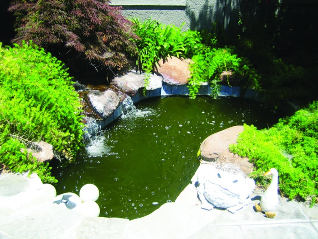 Pool Remodel by Pinnacle Pools and Spas